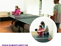 1_Ping Pong