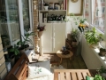 Balcon_inspiratie (8).jpg