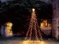 outdoor-christmas-tree