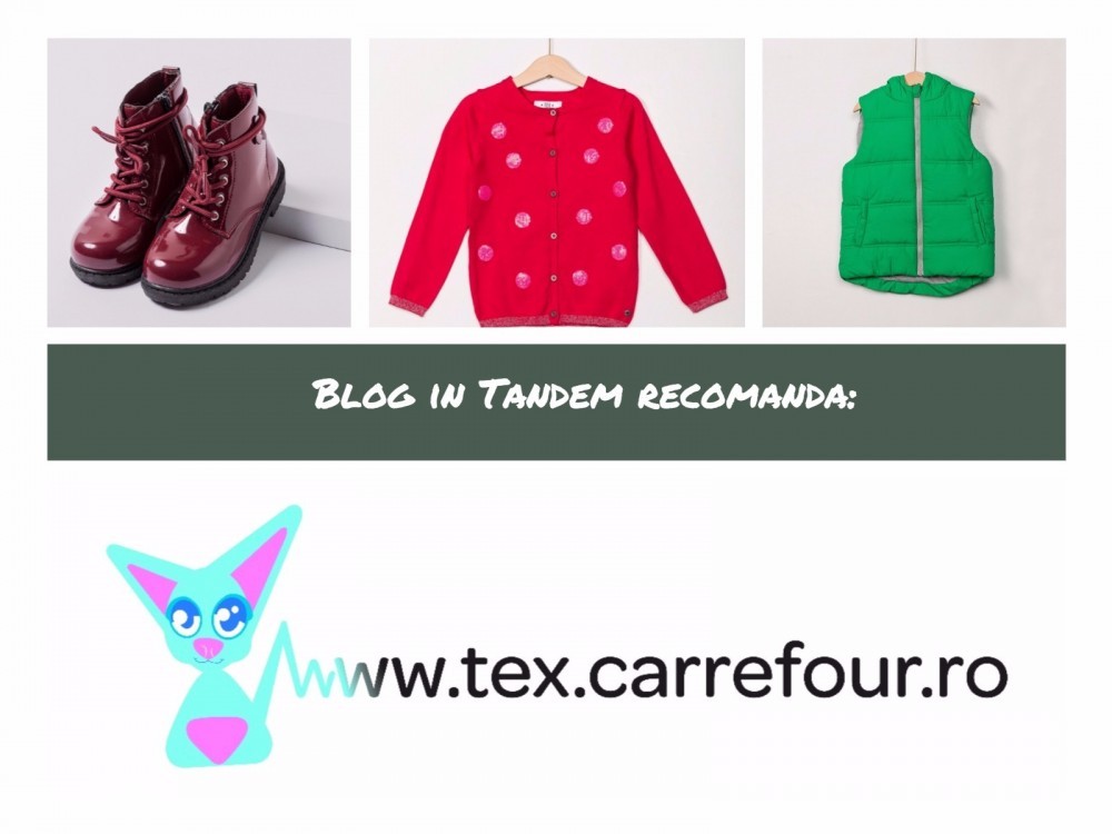 Tex Online_Blog in Tandem (1)