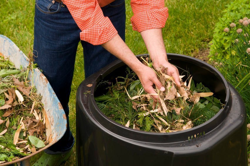 composting_yard_hands_leaves_bin