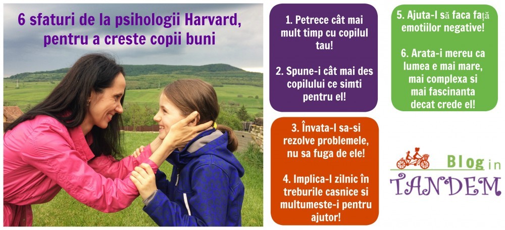 Sfaturi Harvard