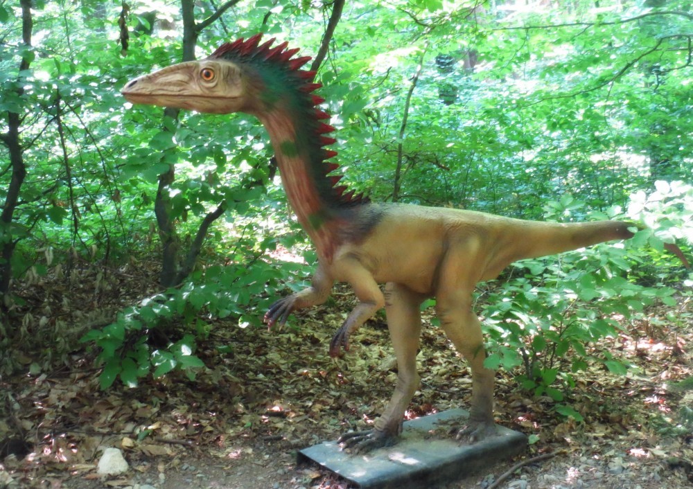 dino parc (10)