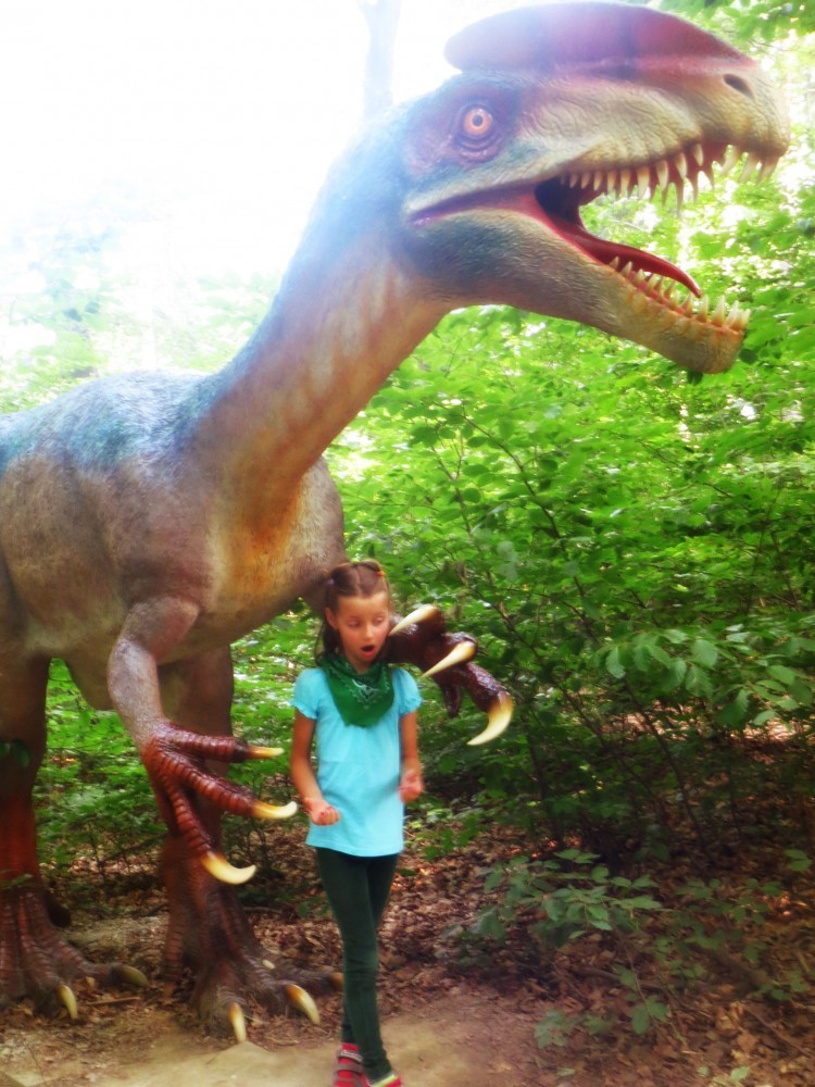 dino parc (13)