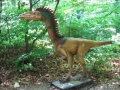 dino parc (10)