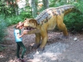 dino parc (12)