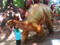 dino parc (15)