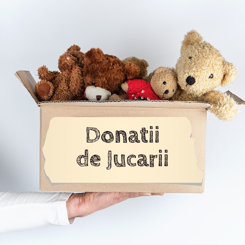 donam-jucarii-5