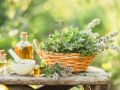 Medicinal plants in the basket