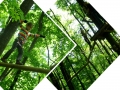 FotorCreated_7.jpg