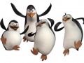 PinguinsDeMadagascar01