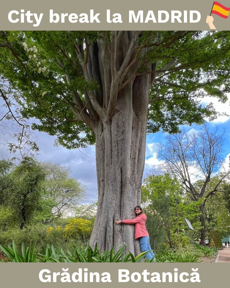 Madrid-city-break-4