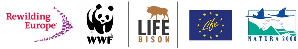 lock-up-logos-Life-Bison