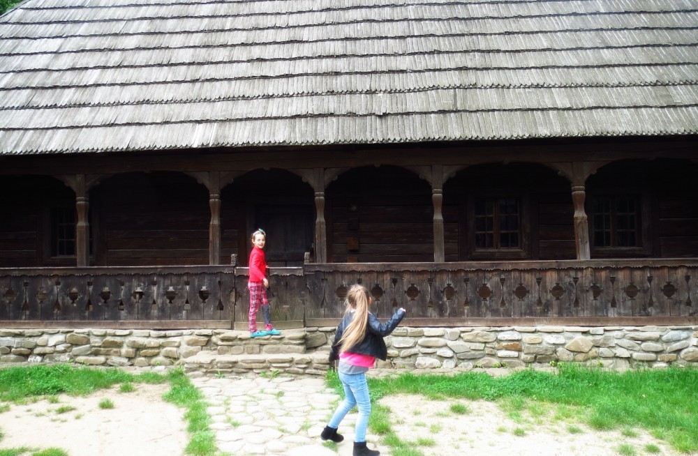 msatului (7)