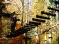 Aventura Parc Brasov (11)