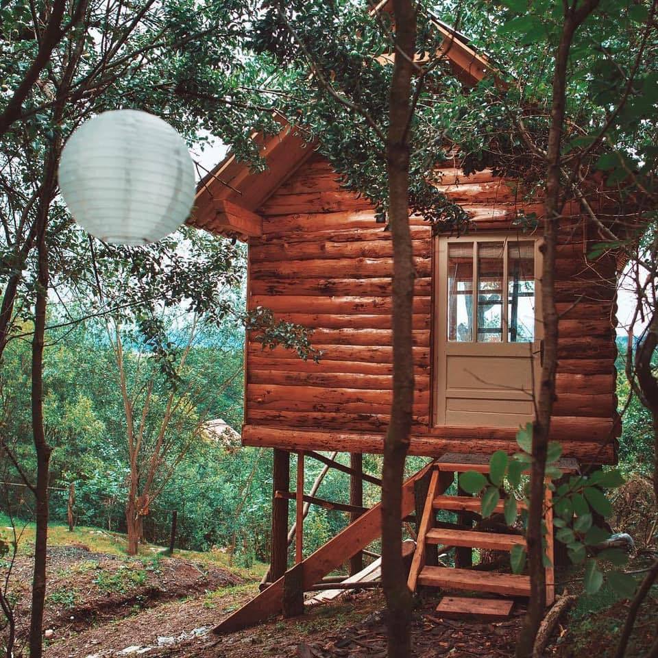 10_transylvania-tree-house5