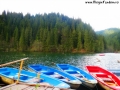 Lacul Rosu_1