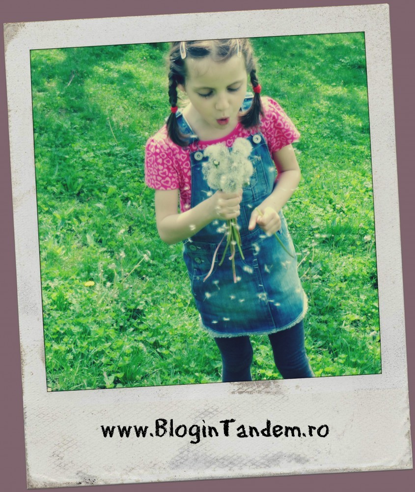Semne bune (4)