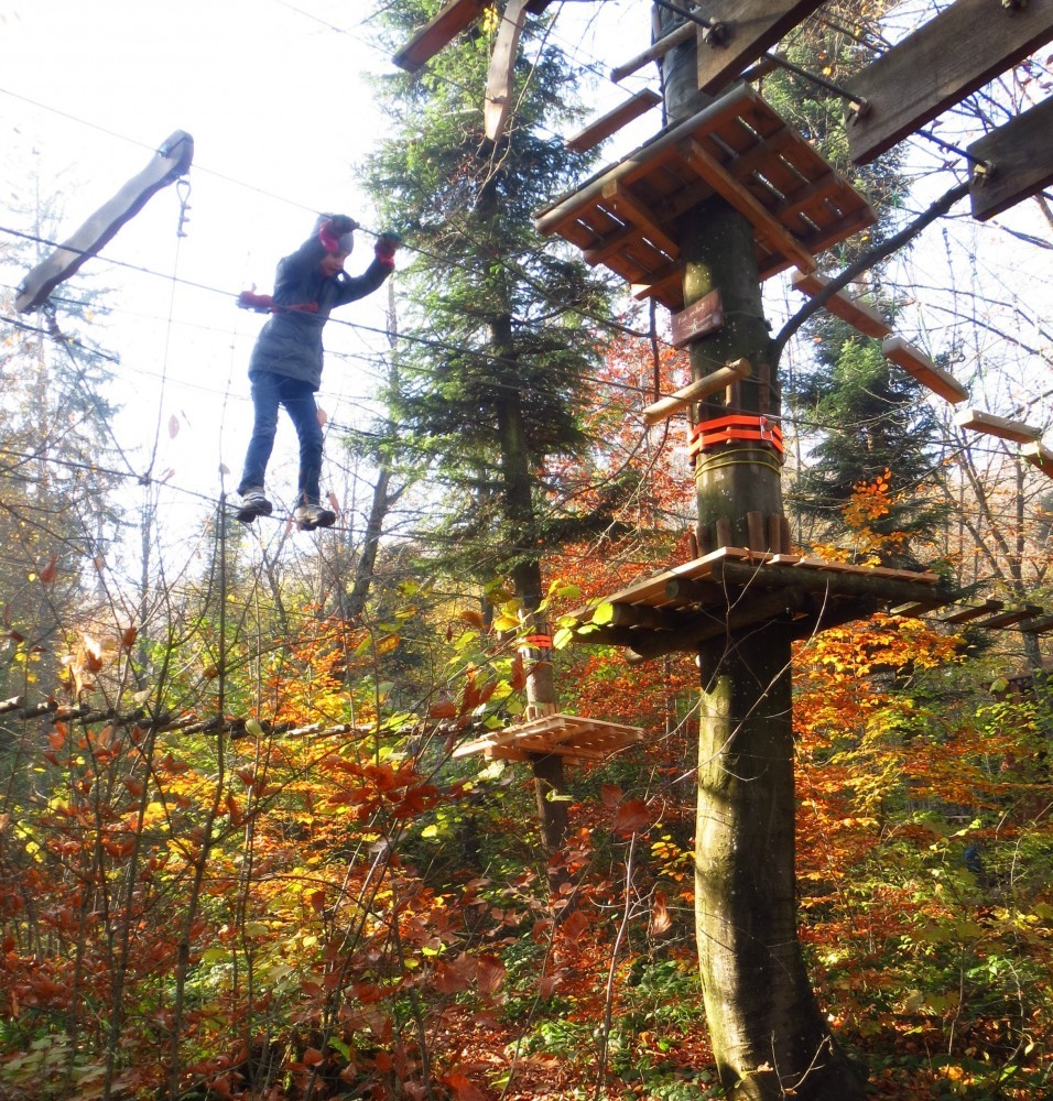 Aventura Parc Brasov (8)