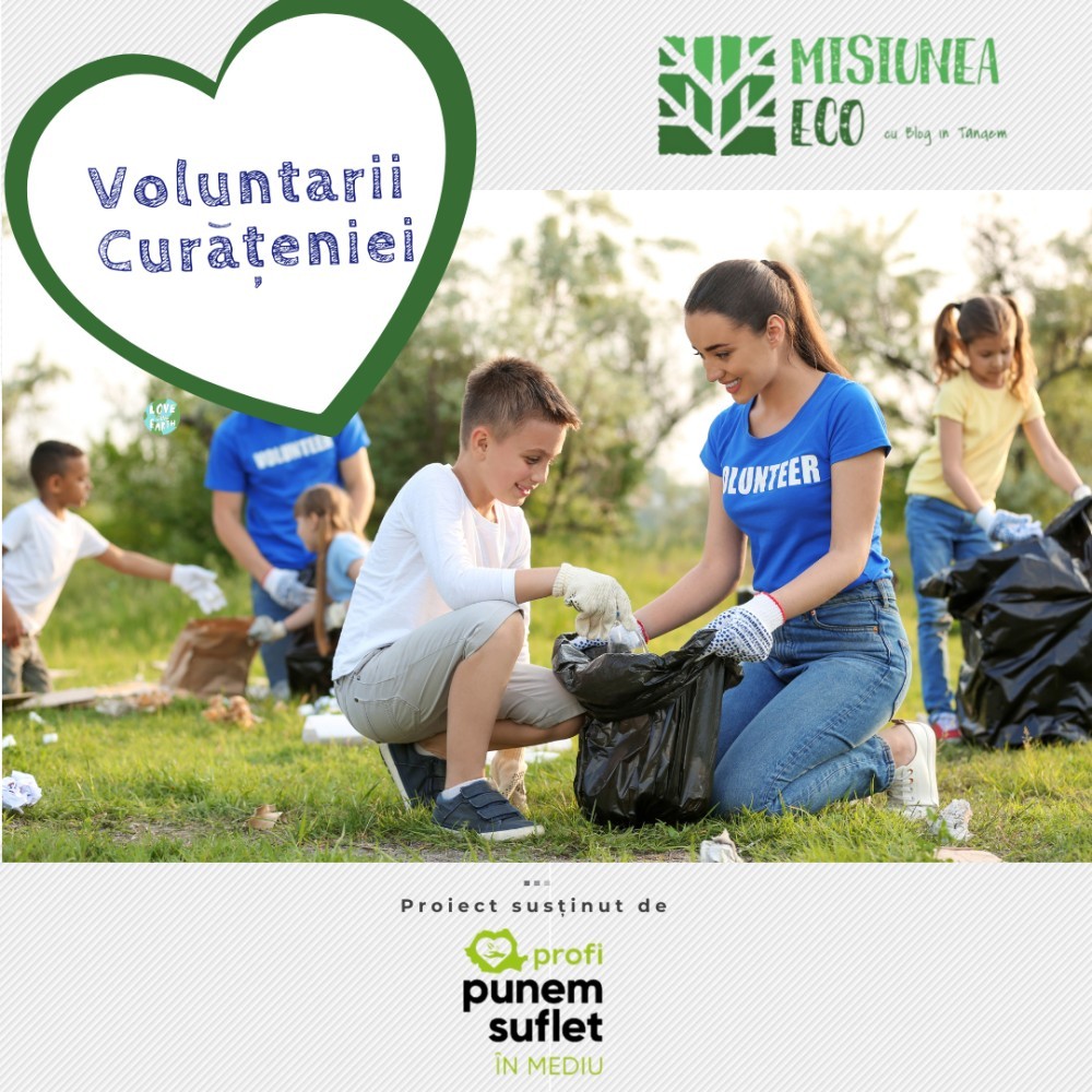 Voluntarii-Curateniei