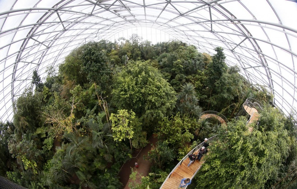 visitors-climb-up-stairs-on-the-newly-opened-treetop-path-in-the-masoala-rainforest-hall-at-the-zoo-in-zurich.jpg