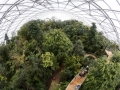 visitors-climb-up-stairs-on-the-newly-opened-treetop-path-in-the-masoala-rainforest-hall-at-the-zoo-in-zurich.jpg