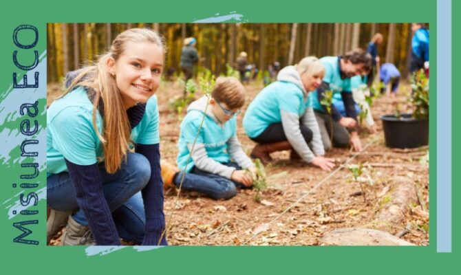 Idei pentru Săptămâna Verde: Ziua Plantării