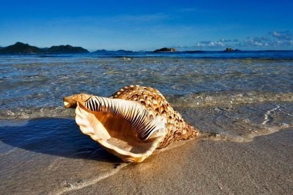 Discutii de zi cu zi. Mi-e dor de mare.