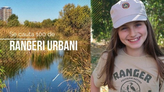 Se caută 100 de RANGERI URBANI pentru Parcul Natural Văcărești