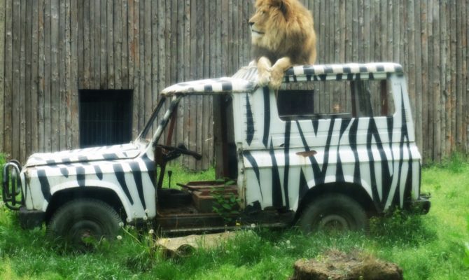 Sunt nehotarata daca imi place sau nu Zoo Baneasa