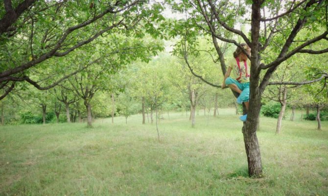 Bunici Amintiri Si Vacantele Copilariei Cu Un Strop De Nostalgie